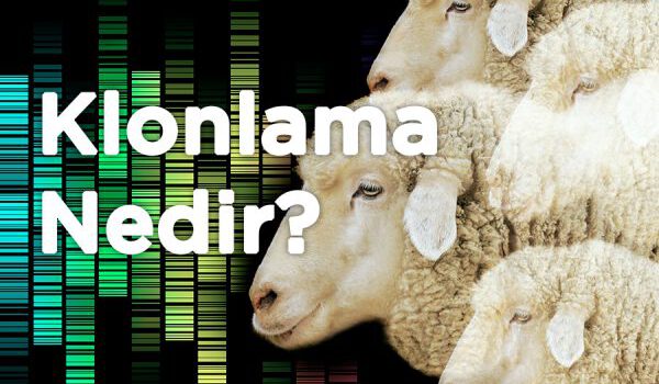 Klonlama Nedir?